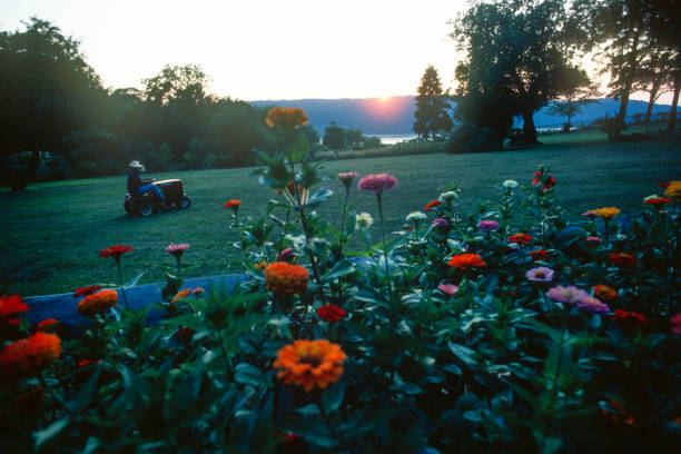 "Beyond the Blooms: Exploring the Artistry and Science of Gardening"